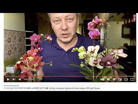 , title : 'орхидея тайный подарок и ОБЗОР прошлого улова орхидей'