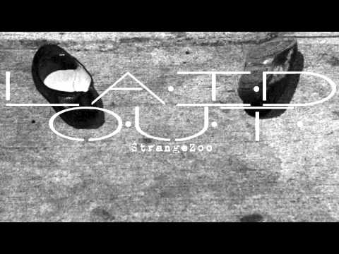 Laid Out - StrangeZoo