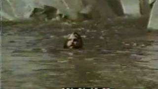 Jim Morrison - Palace of Exile