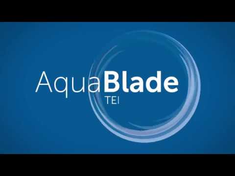 Ideal Standard Connect - Závěsné WC, s Aquablade technologií, s Ideal Plus, bílá E0479MA