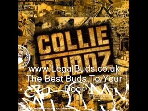 Collie Buddz - Bun Down Di System