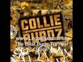 Collie Buddz - Bun Down Di System 