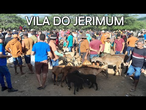 Feira de Animais da Vila do jerimum, Taquaritinga do Norte Pernambuco 12/04/2026.