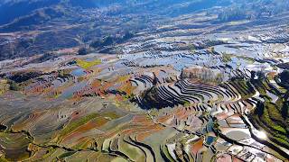 Avanzar hacia el desarrollo sostenible: La sabiduría ecológica de las terrazas milenarias