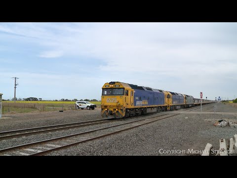 7736V Pacific National Grain Train With G525 BL32 G520 At Gheringhap (18/9/2023)- PoathTV Railways