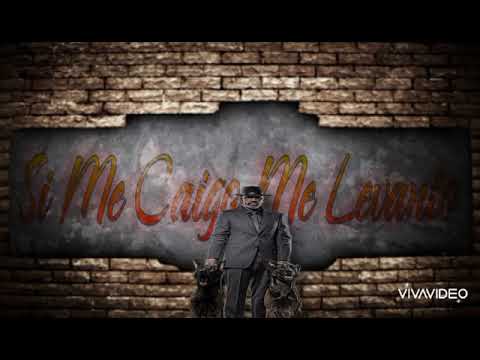 Liriklan - "Si Me Caigo Me Levanto"