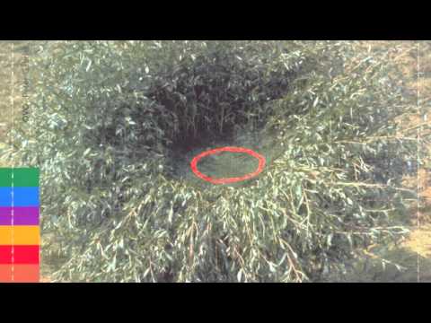 Downside Up Studio Version with Peter Gabriel Vocal (Fan Remix)