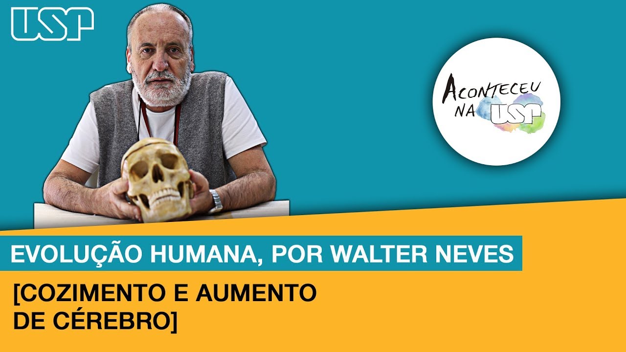 [Evolução Humana] #3 Cozimento e aumento de cérebro