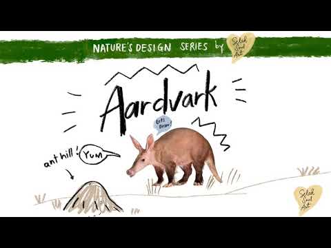 Let’s Draw an Aardvark | Nature’s Design Series | Selah Soul Art
