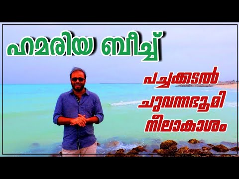 Al Hamriyah Public Beach Sharjah- Near Ajman & Umm al quwain