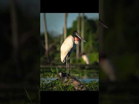 aventuras por Las Lomitas Formosa