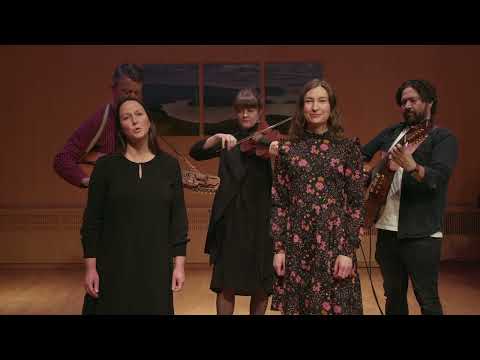 Folkmusik - lärarna