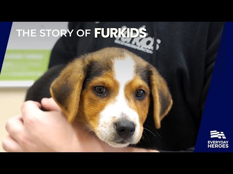 Everyday Heroes: The Heartwarming Tale of Fur Kids Animal Shelter
