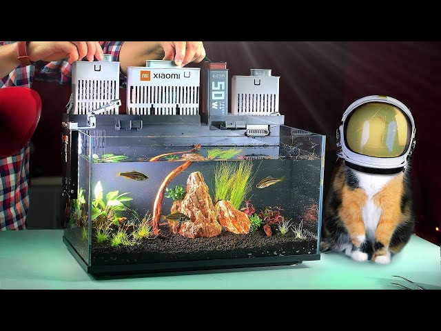 Vídeo relacionado con PUTINEI 6L Acuario de Cristal Acuarios y Peceras Completas,con Sistema de Filtrado Integrado e Iluminación LED,Acuarios de Iniciación, Negro