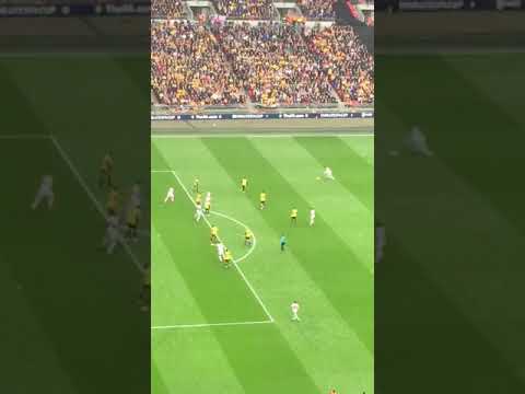Raul Jimenez scores an insane goal vs Watford