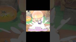 一緒に歴史を感じる事が出来たよね…？！？！#あつ森 #どうぶつの森 #あつまれどうぶつの森 #どう森 #shortvideo #sorts #short