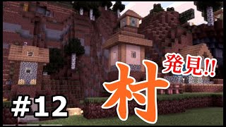【初心者・マイクラ】遂に念願の村発見!!