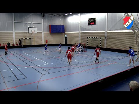 DSK P10 - Järfälla IBK Blå MedelLätt 211127