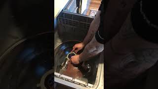 How to clean Fisher and Paykel  DishDrawer (DD60S17)