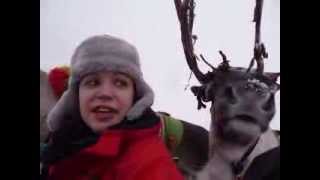preview picture of video 'Reindeer Love in Lapland!'