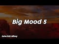 Big Mood 5 - Selectah Mikey