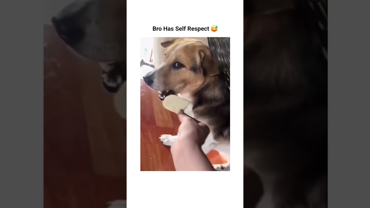 Bro Has Self Respect 😅