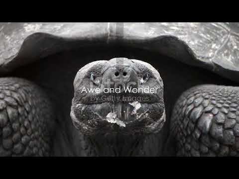 Charles DarwinCharles Darwin