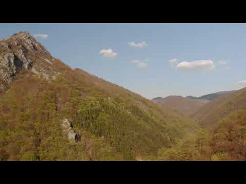 Pădurile din Parcul Național Domogled - Valea Cernei din cadrul Romsilva