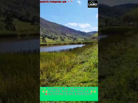 FAZENDA DA AMIZADE 166HA MONTE FORMOSO/MG VALOR R$2.600.000.00 TEL: ☎️33999028393 WHATSAPP