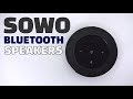 Amazing sound from SOWO 5.0 Bluetooth Speakers! (Review)