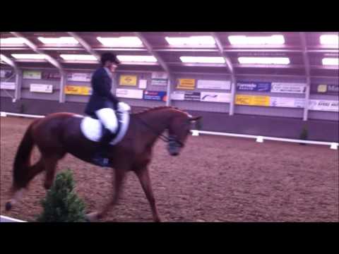 M1 dressuur proef Antoinette & Bryoni Heeten 31.10.2015