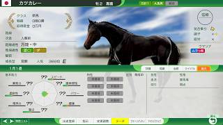 【ウイニングポスト10 2026】超大物覚醒馬が最強！連勝街道を楽しもう！！【Winning Post10 2026】