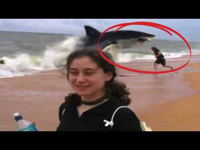 The camera recorded the scene of a ferocious and large shark that ...