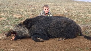 NEVER GIVE UP PIG HUNT "GRAPHIC"