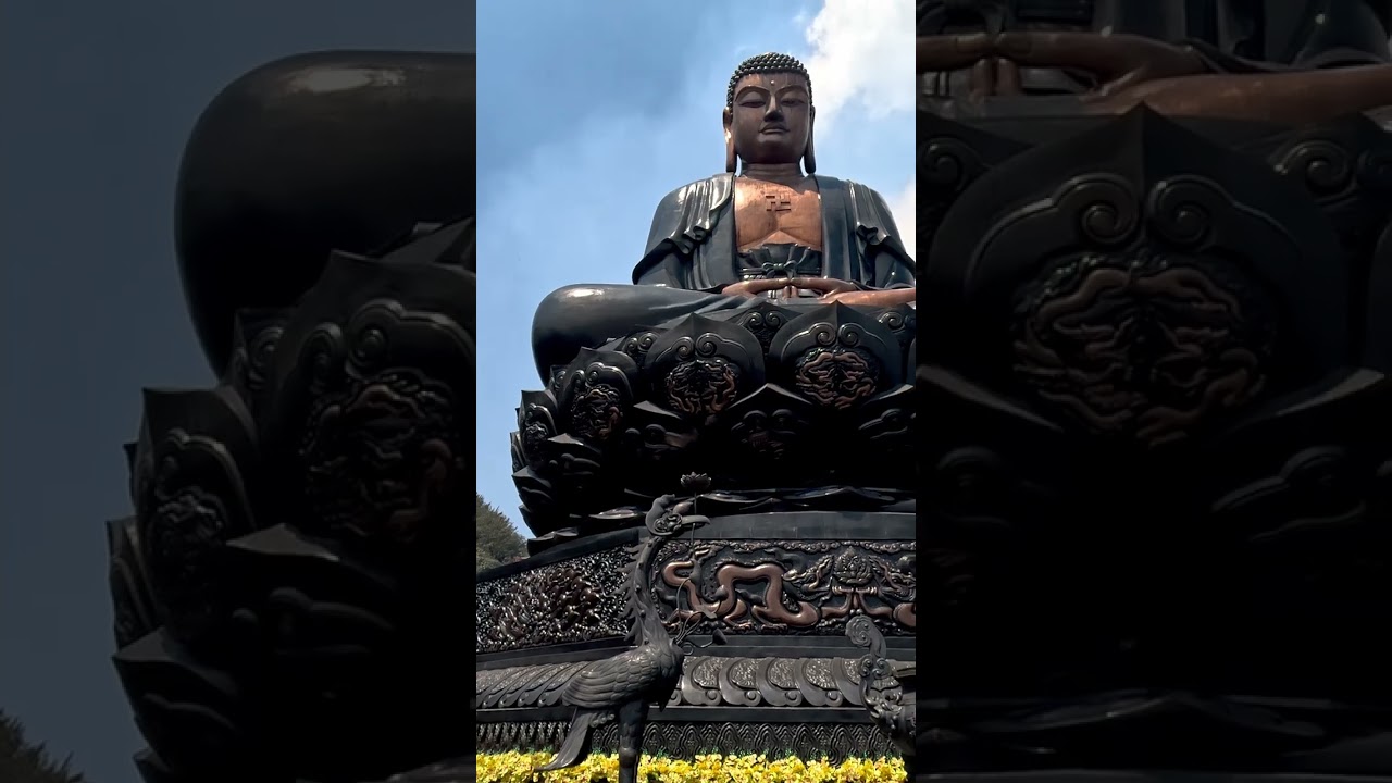 YouTube Short thumbnail