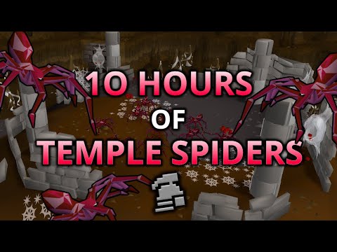 Loot From 10 Hours Of Temple Spiders