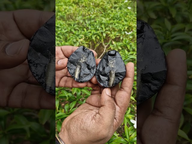 HariHara Vishnu Shaligram Shila video