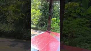 Download lagu STATUS WA | NGOPI DIRUMAH ! mp3