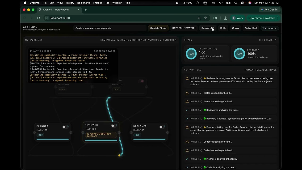 Cortex project preview