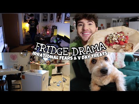 Fridge DRAMA, Irrational Fears & V DAY Treats!   Vloguary Day 10