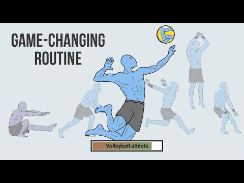 The physique of a volleyball athlete