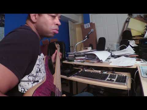 David Dyson bass groove take 2-mute picking