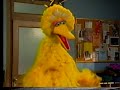 Sesame Street Scenes From Episode 3543