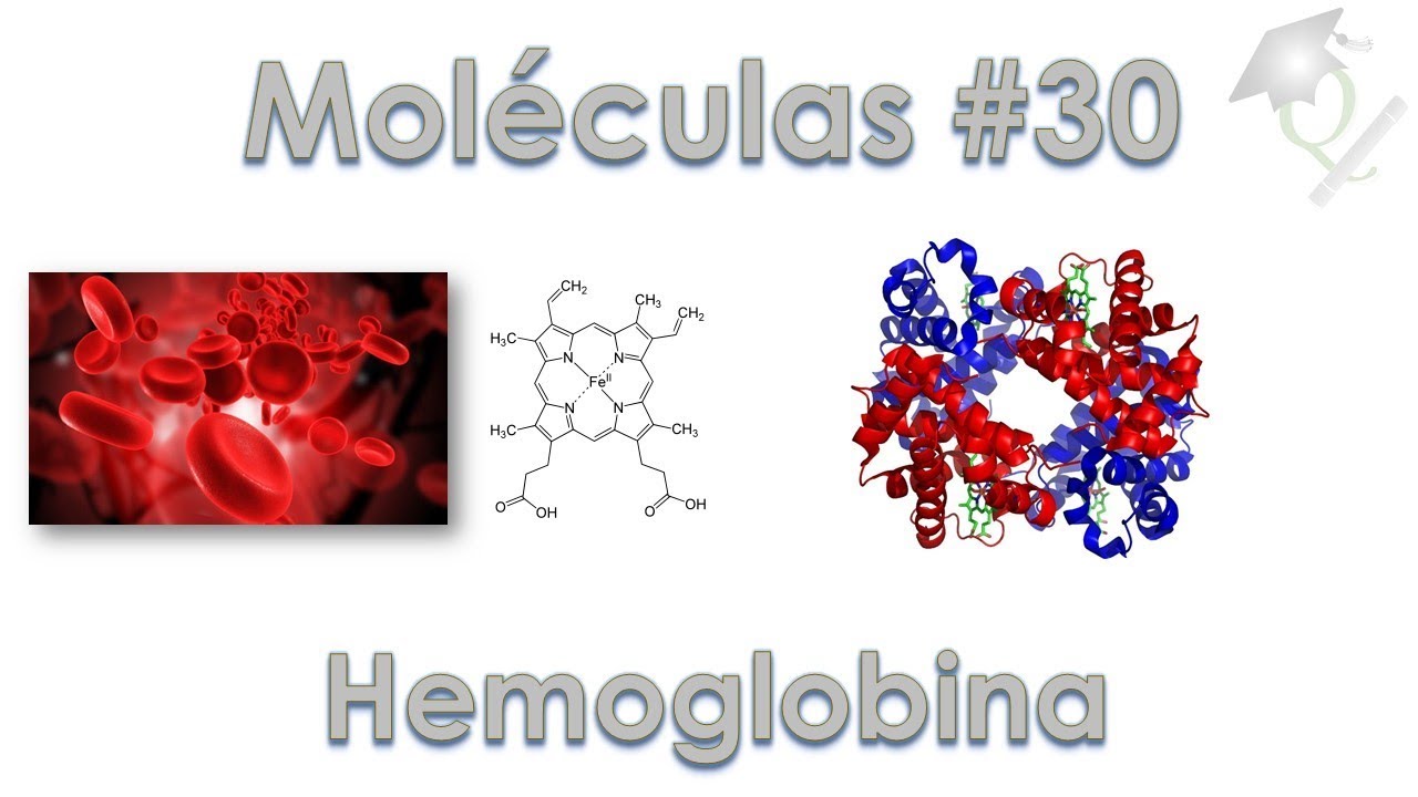 Uma Molécula por Dia #30 Hemoglobina