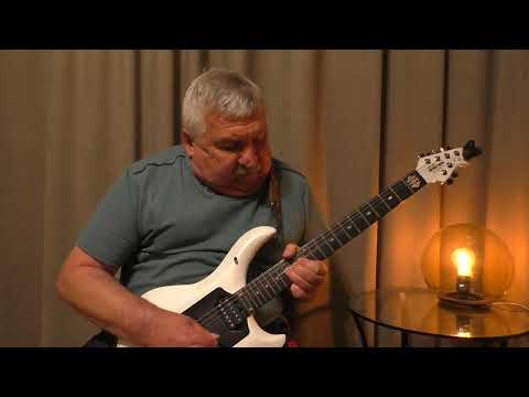 Ozzy Osbourne - No More Tears solo COVER