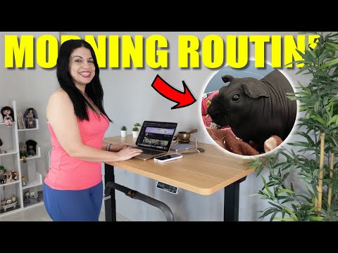 LA NOSTRA MORNING ROUTINE INSIEME AI NOSTRI ANIMALI