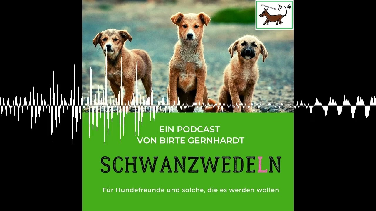 102 Jahresrückblick und - Ausblick - Interviewgäste dieses Jahres - Schwanzwedeln