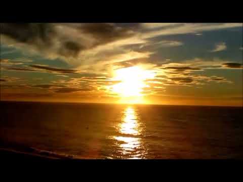 Mflex Sounds feat Hollywood Principle : Seeing What's Next - 08/2022