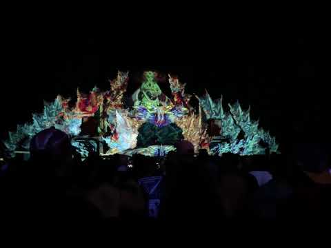 GAIA CONNECTION 09/2019