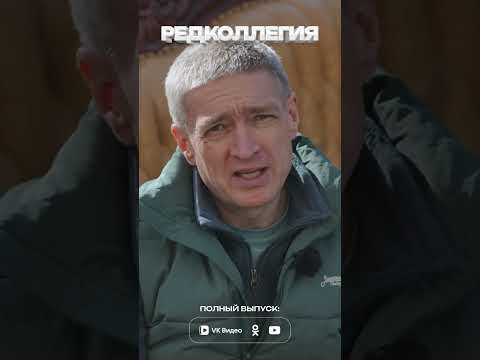 Идеальная помойка. Какая она?